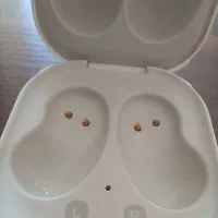 کیس هنسفری بادز لایو