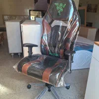 صندلی|آرایشگاه و سالن‌های زیبایی|جم, |دیوار