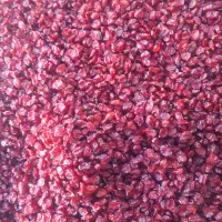 خریدار زرشک خشک نقد