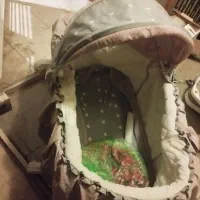 صندلی و روروک وتخت کنار مادر