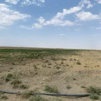 فروش ‌تهاتر زمین کشاورزی|فروش دفتر صنعتی، کشاورزی، تجاری|کرج, حاجی آباد|دیوار