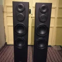 باند استند پایونیر