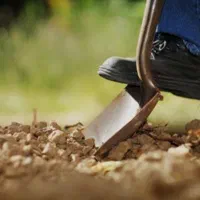 باغبانی و باغداری با تجربه بالا و مدرک کشاورزی|خدمات باغبانی و درختکاری|کاشان, فین بزرگ|دیوار