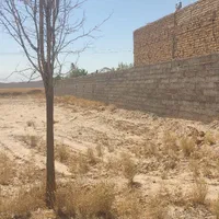 فروش زمین ۸۰۰ متری در شیر حصار|فروش زمین و ملک کلنگی|مشهد, میان ولایت|دیوار