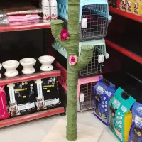 اسکرچر خانگی پت