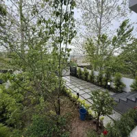 ویلا 200متری پلاک اول جنگل / نوساز با سند / 2م کل|فروش خانه و ویلا|آمل, |دیوار