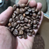 پخش انواع دان سبز و رست شده قهوه درکرج وشهریار