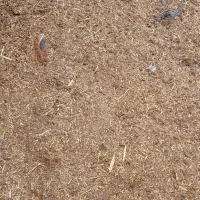 فروش زمین مسکونی گلخانه ای یا کشاورزی  اول روستا