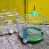 پرنده زینتی|لوازم جانبی حیوانات|جوکار, |دیوار