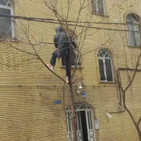 راپلکار پیچ رولپلاک نماشویی ترموود رنگ‌ واترجت