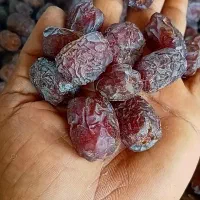 خرما مُرداسَنگ پیچیده، خاصوئی ،خنیزی و کلوته|خوردنی و آشامیدنی|بندرعباس, |دیوار