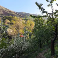باغچه ویلایی ۱۰۰۰ متر لواسان بزرگ/ایرا/جورد/وسکاره|فروش زمین و ملک کلنگی|لواسان, |دیوار
