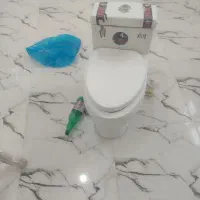 توالت فرنگی