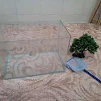 آکواریم شیشه خم با وسایل