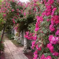 فروش خونه باغ ویلایی