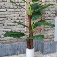 فروش ویژه درختچه مصنوعی شیک و دکوری