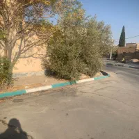 فروش ملک تجاری شده  ۱۸۵ متری بر میدان