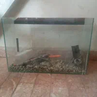 اکواریوم