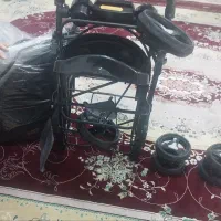 کالسکه|کالسکه و لوازم جانبی|قم, حکمت شمالی|دیوار