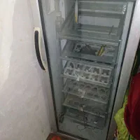 دستگاه جوجه کشی دماوند