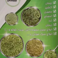 استخدام بازاریاب مبتدی و حرفه ای