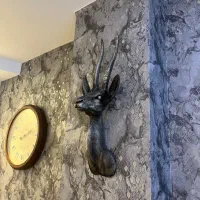 گوزن دیواری