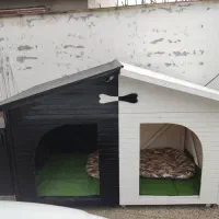 لانه ی سگ تمام چوب نراد روس و رنگ ماشین|لوازم جانبی حیوانات|محمودآباد, |دیوار