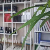 منشی مطب زیبایی مسلط