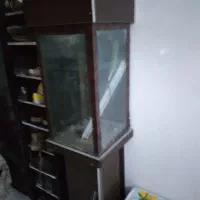 آکواریوم ایستاده جهت شرکت‌ها اداره مغازه وغیره