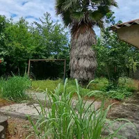 فروش زمین سنددار با دو ملک کلنگی با تمام انشعابات|فروش زمین و ملک کلنگی|واجارگاه, |دیوار