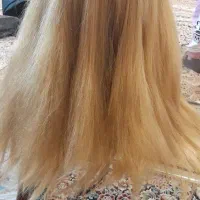 سر مانکن|آرایشگاه و سالن‌های زیبایی|اصفهان, شهرک زاینده رود|دیوار