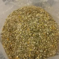 بابونه گل