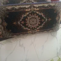 دو‌جفت پشتی