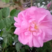 ۲۵۰۰۰متر زمبن برجاده ترانزیت قزوین زنجان