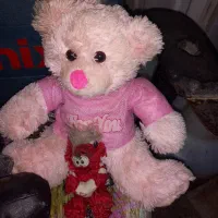 عروسک|اسباب‌‌بازی|ری, علایین|دیوار