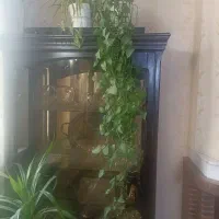 ویترین|بوفه، ویترین، کنسول|تهران, فدک|دیوار