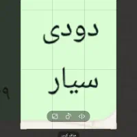 شیشه دودی سیار ** مخفی **