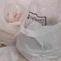 خرگوش لوپی ۸ ماهه سالم نر دو. تومن|موش و خرگوش|خرم‌آباد, |دیوار