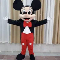 دوعدد تن پوش نو