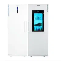 یخچال فریزر با درب شیشه ای D21