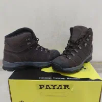 کفش پایار فالکون