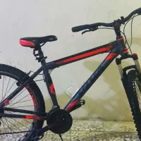 دوچرخه ویوا (رالتلر) ۲۷/۵