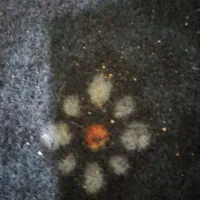 مقدار پول پیدا کردم