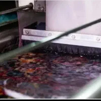 قالیشویی تهرانپارس فلکه اول بهار باقری قالی شویی|خدمات نظافت|تهران, تهرانپارس جنوبی|دیوار