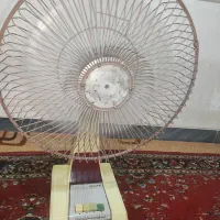 پنکه|پنکه و تصفیهکنندهٔ هوا|شیراز, میانرود|دیوار