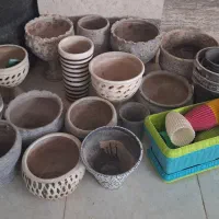 گلدان|گل و گیاه طبیعی|کرج, شهرک علی ابن ابیطالب (کوثر)|دیوار