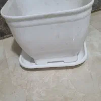 تعدادی گلدان پلاستیکی و سفالی