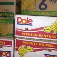 کارتن موز فروشی