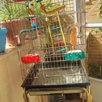 قفس بزرگ با پایه