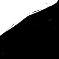 کود گاوی سوخته ۵ساله